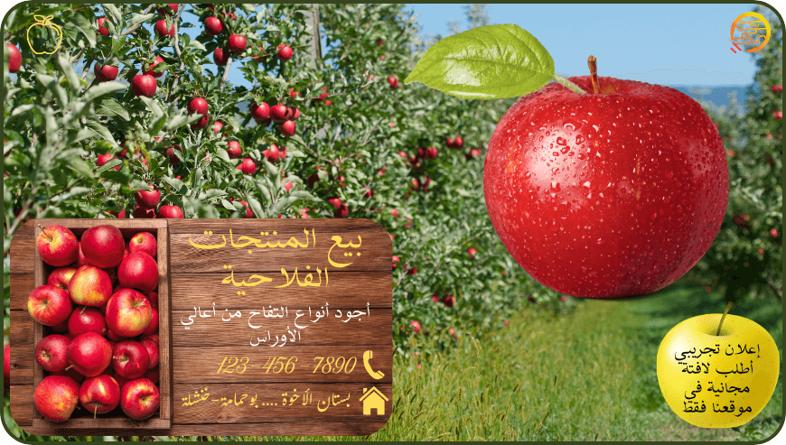 بيع منتوج فلاحي-تفاح- اعلان تجريبي