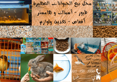 خان-الخليلي-11