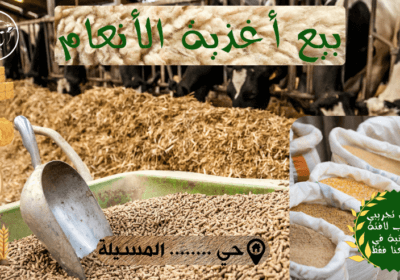 خان-الخليلي-24