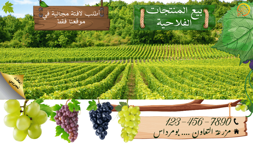 خان-الخليلي-9